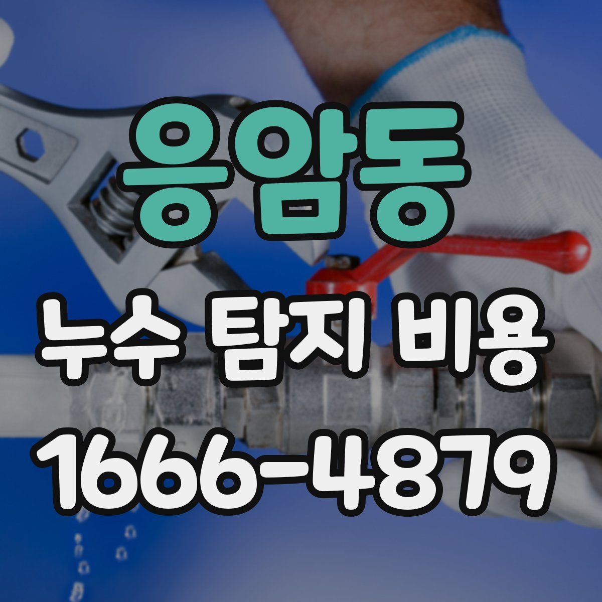 응암동 누수 탐지 비용