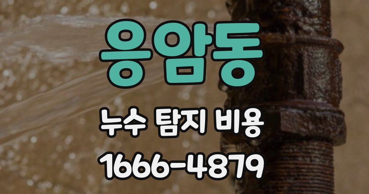 응암동 누수 탐지 비용