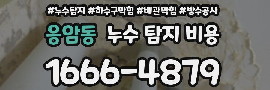 응암동 누수 탐지 비용