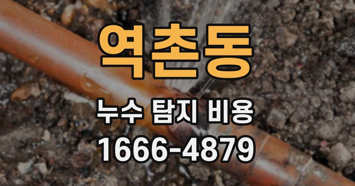 역촌동 누수 탐지 비용