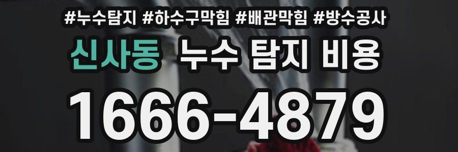 신사동 누수 탐지 비용