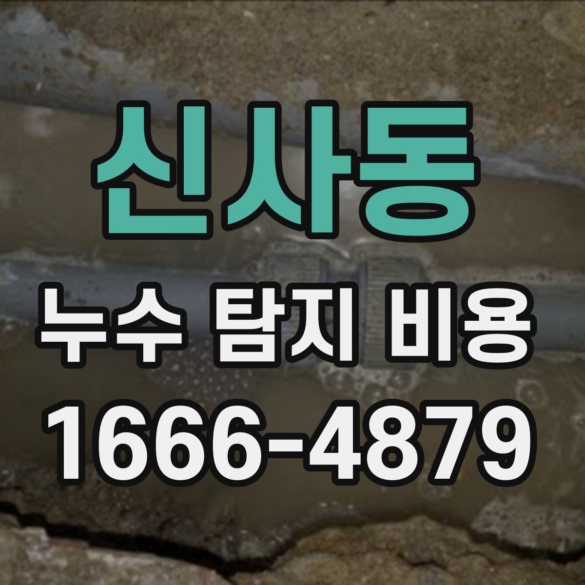 신사동 누수 탐지 비용