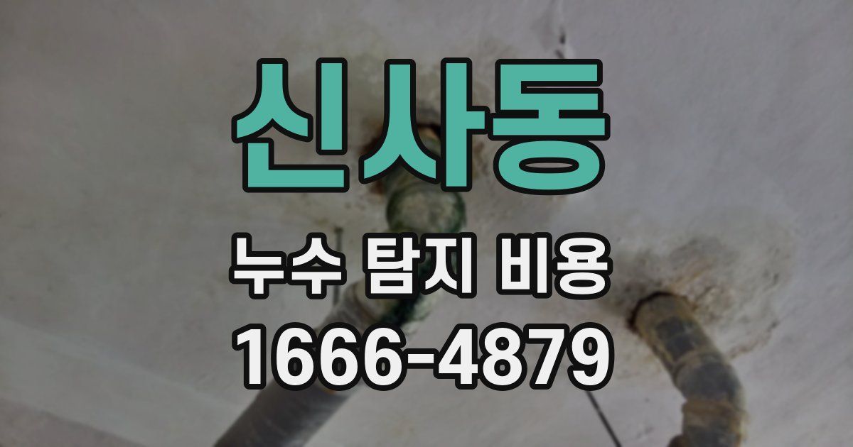 신사동 누수 탐지 비용