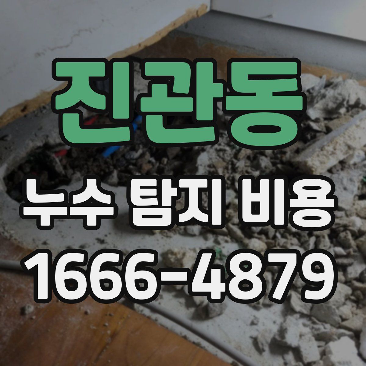 진관동 누수 탐지 비용
