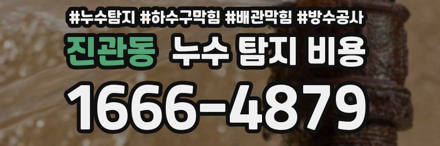 진관동 누수 탐지 비용