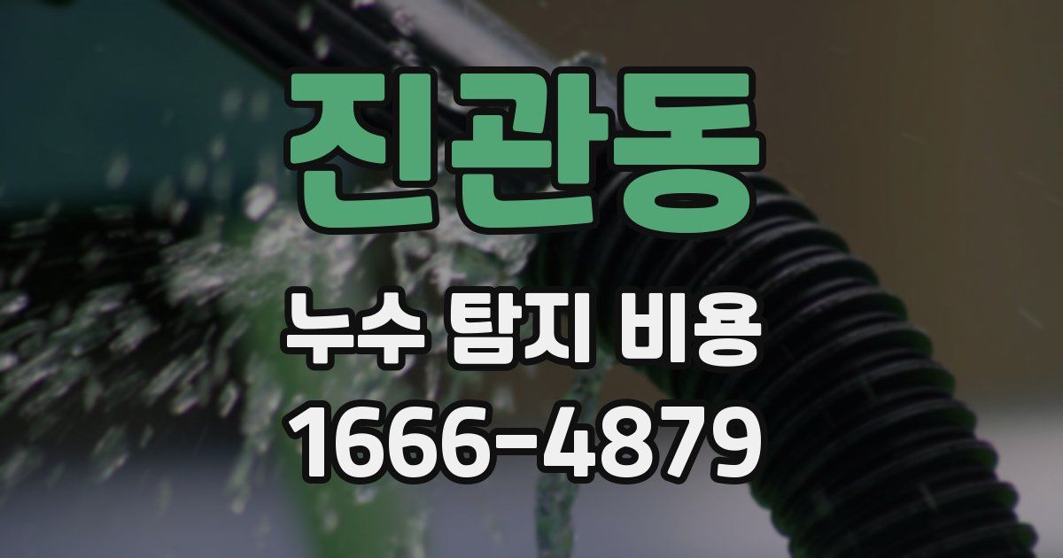 진관동 누수 탐지 비용