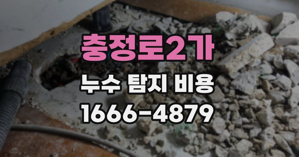 충정로2가 누수 탐지 비용
