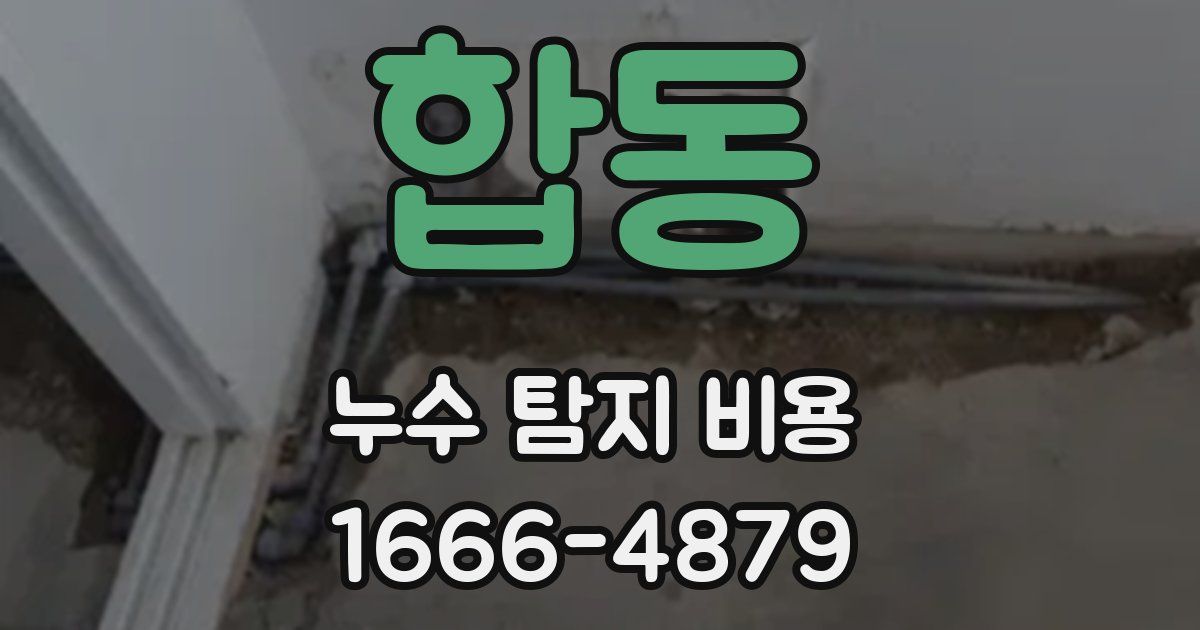 합동 누수 탐지 비용