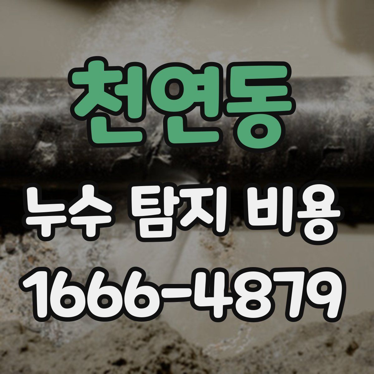 천연동 누수 탐지 비용