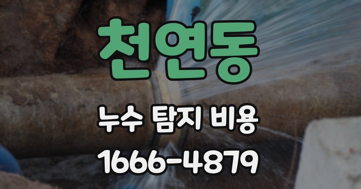 천연동 누수 탐지 비용