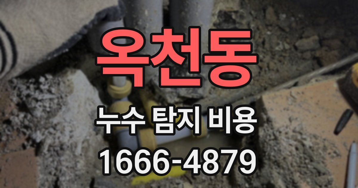 옥천동 누수 탐지 비용