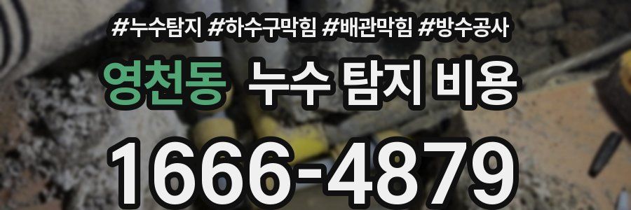 영천동 누수 탐지 비용