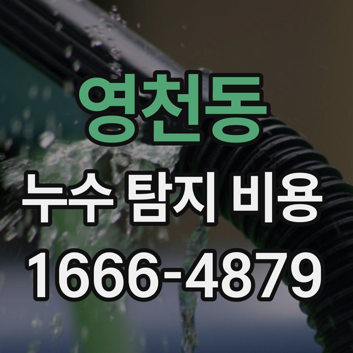 영천동 누수 탐지 비용