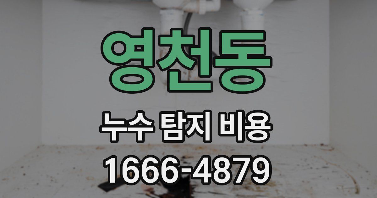 영천동 누수 탐지 비용