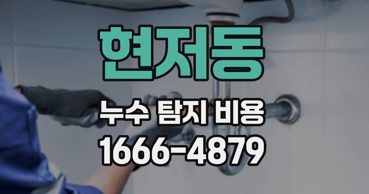 현저동 누수 탐지 비용