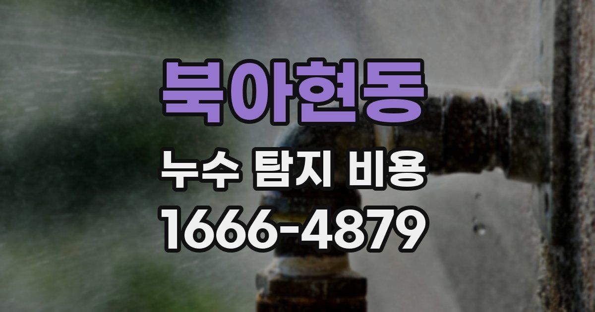북아현동 누수 탐지 비용