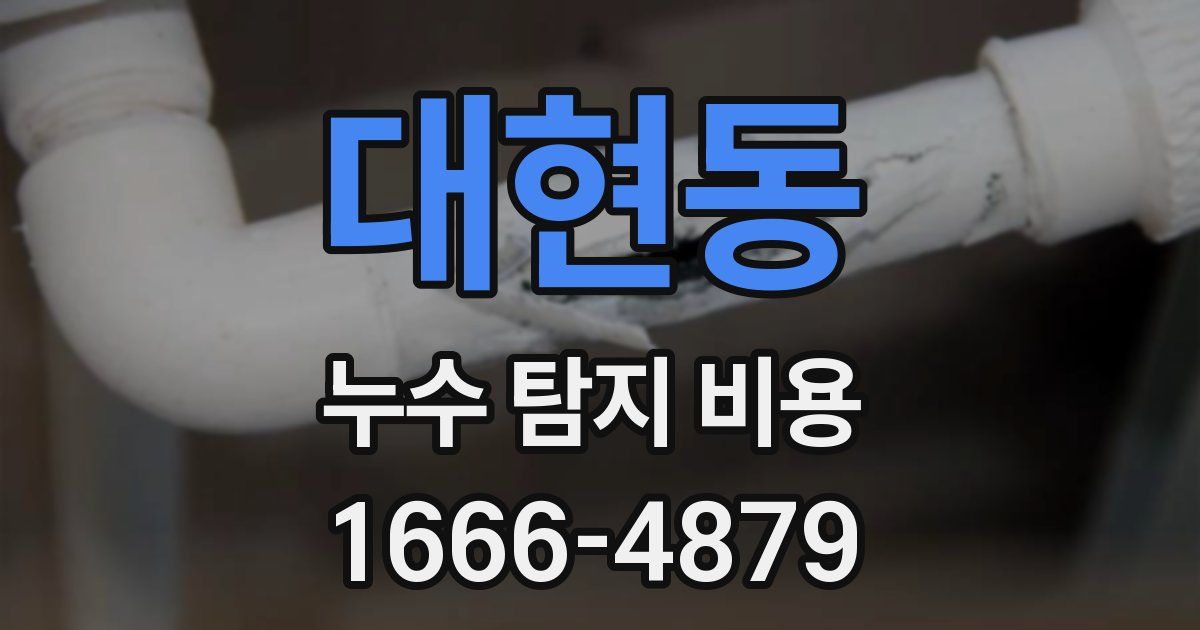 대현동 누수 탐지 비용