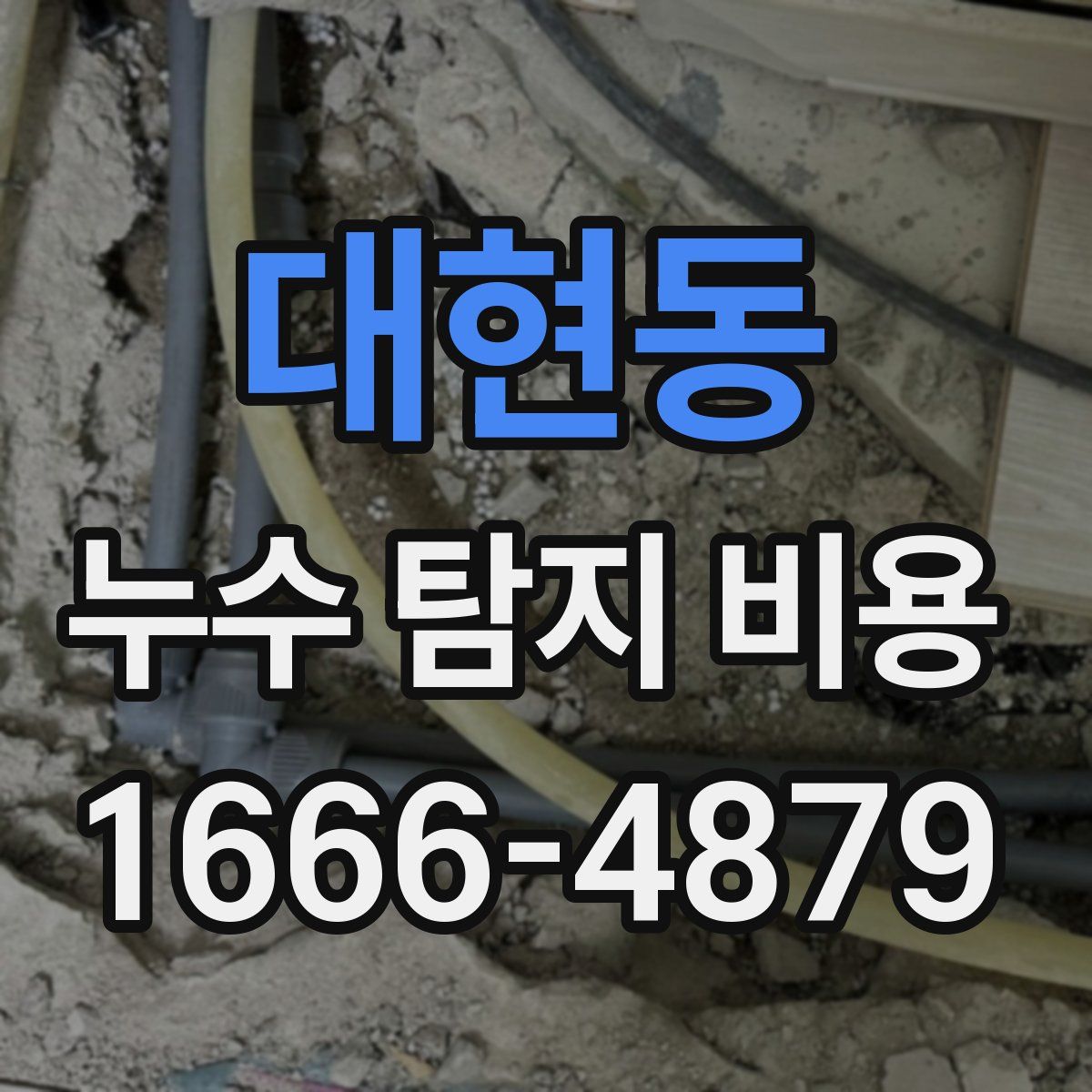 대현동 누수 탐지 비용