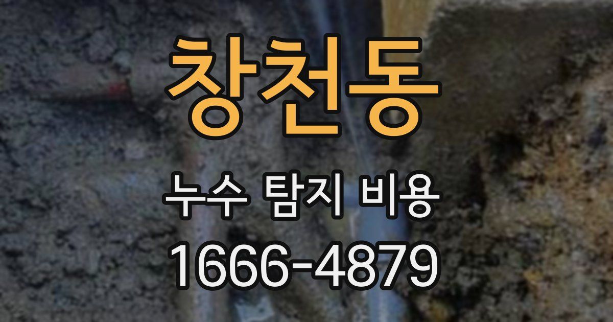 창천동 누수 탐지 비용