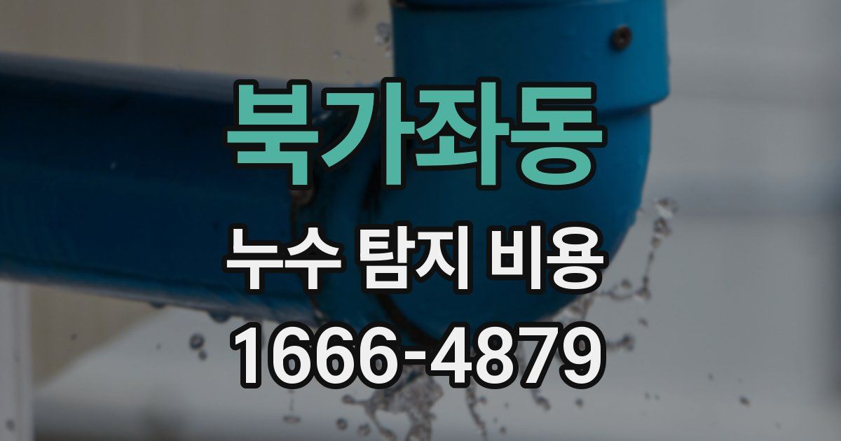 북가좌동 누수 탐지 비용