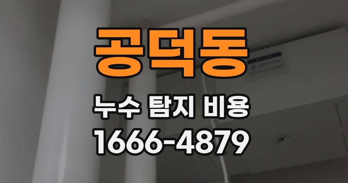 공덕동 누수 탐지 비용