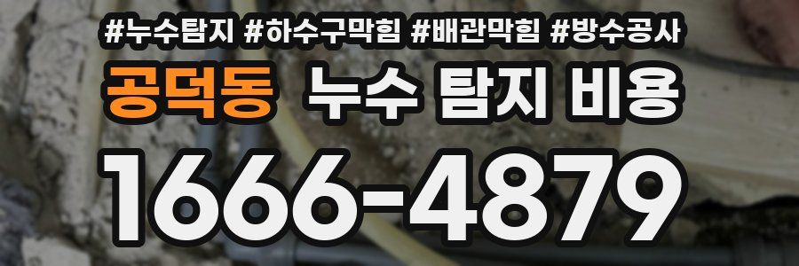 공덕동 누수 탐지 비용