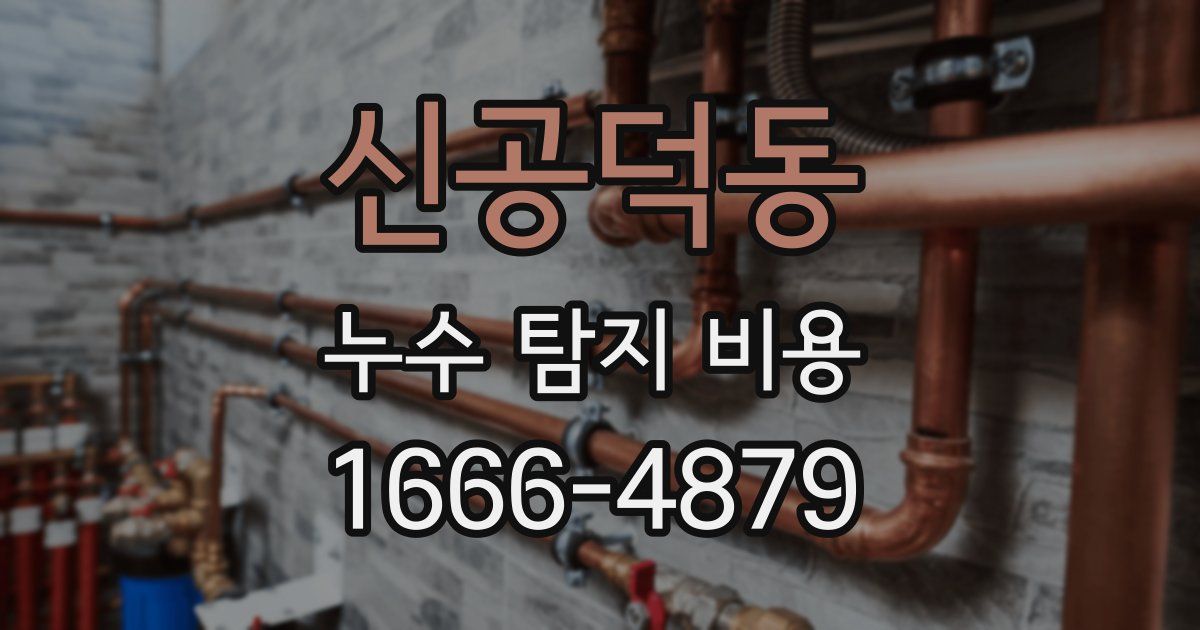 신공덕동 누수 탐지 비용