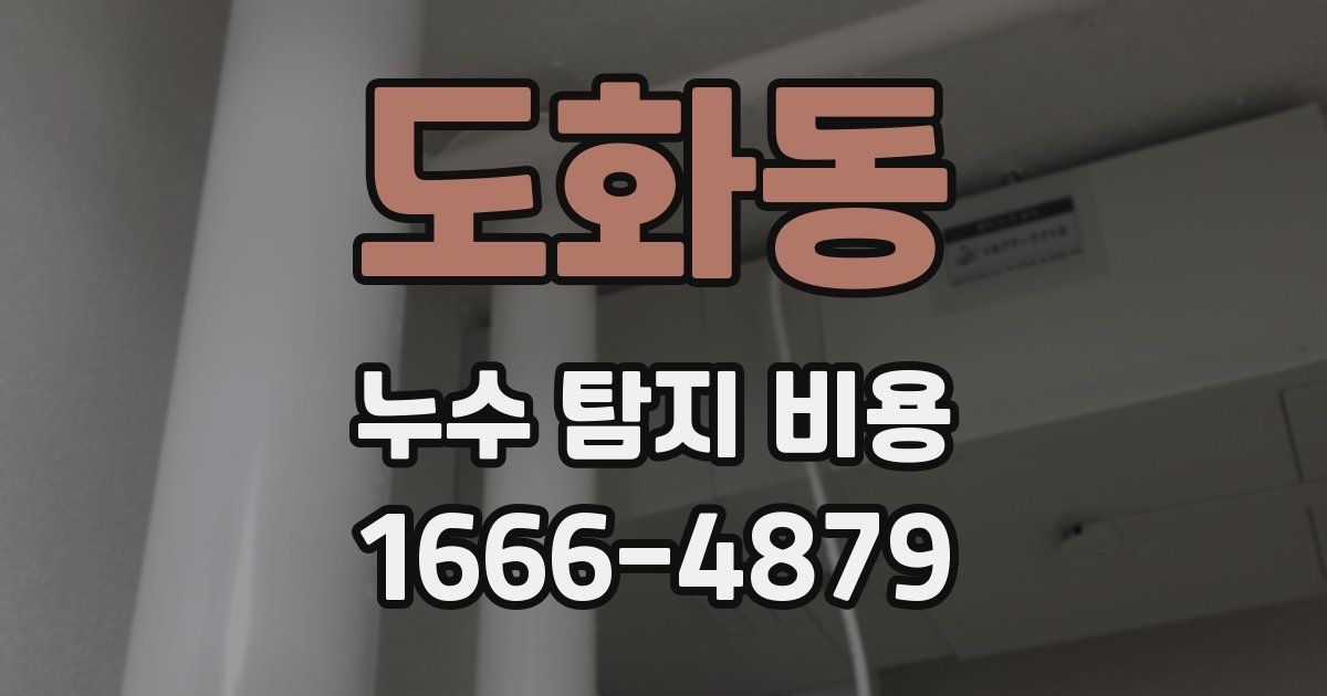 도화동 누수 탐지 비용