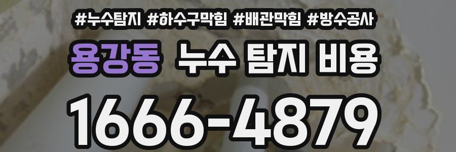 용강동 누수 탐지 비용