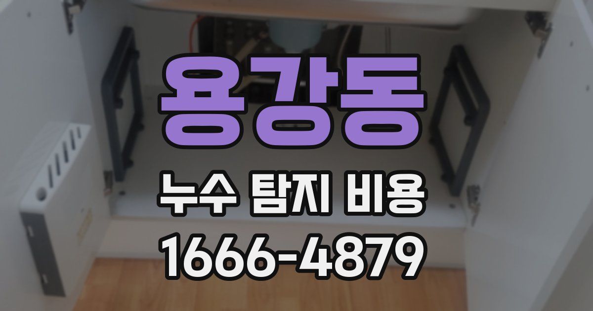 용강동 누수 탐지 비용