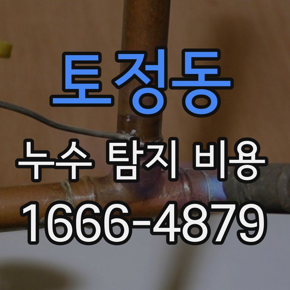 토정동 누수 탐지 비용