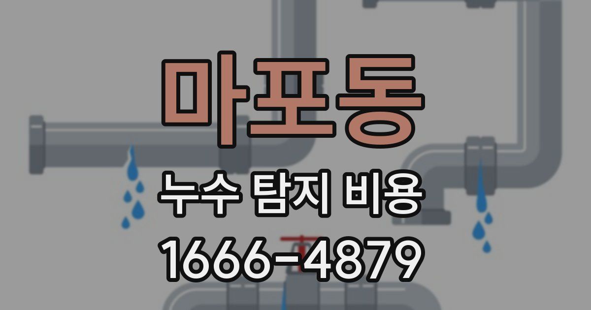 마포동 누수 탐지 비용