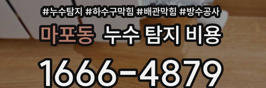 마포동 누수 탐지 비용