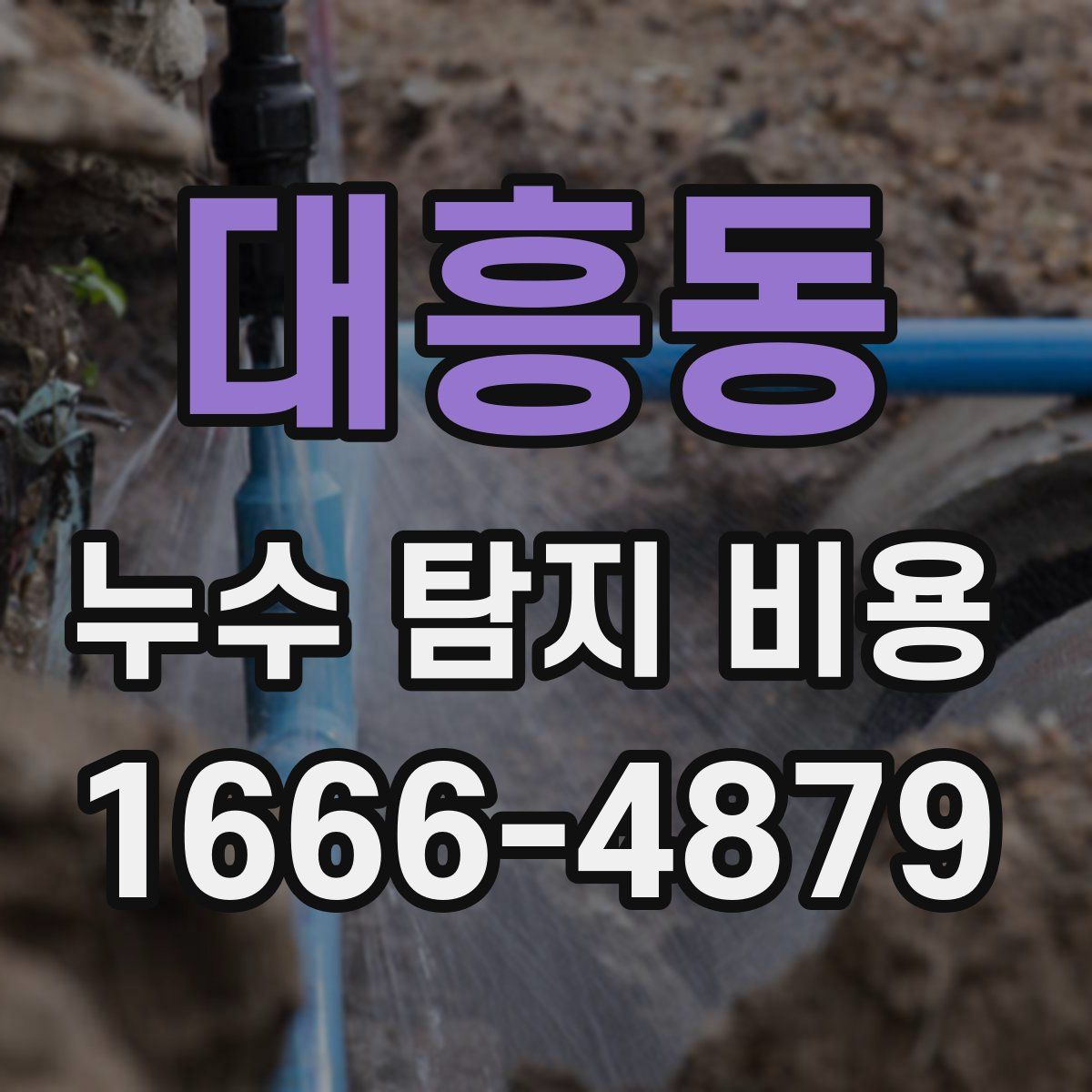 대흥동 누수 탐지 비용