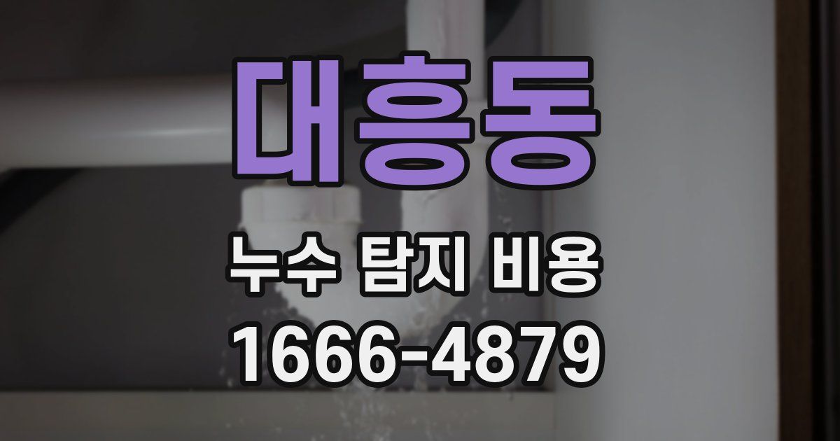 대흥동 누수 탐지 비용