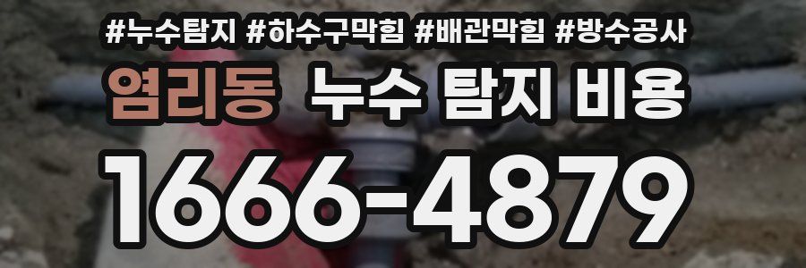 염리동 누수 탐지 비용