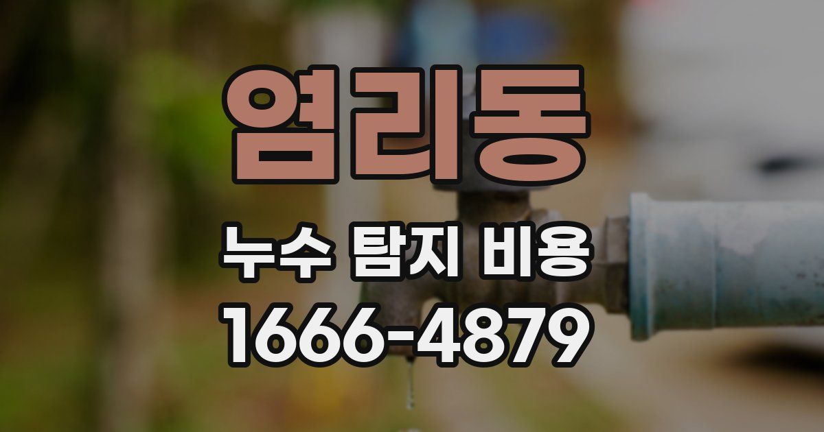 염리동 누수 탐지 비용