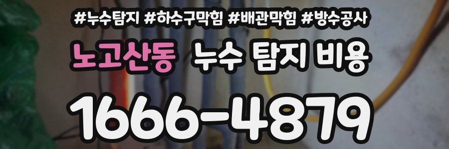 노고산동 누수 탐지 비용