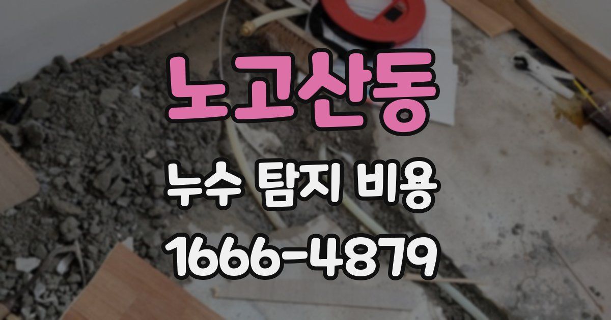 노고산동 누수 탐지 비용