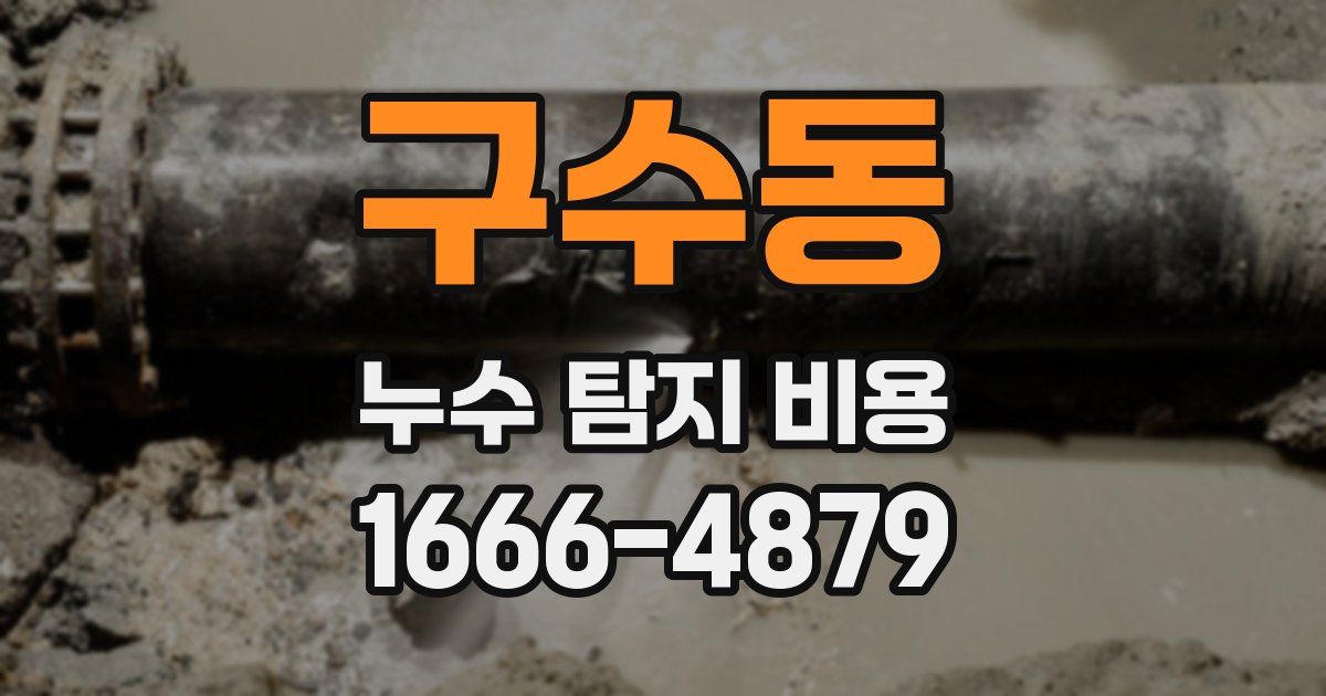 구수동 누수 탐지 비용