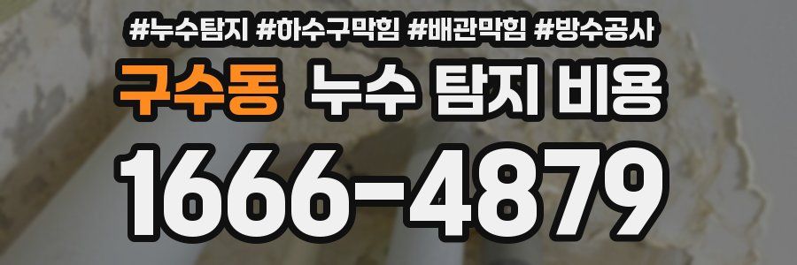 구수동 누수 탐지 비용