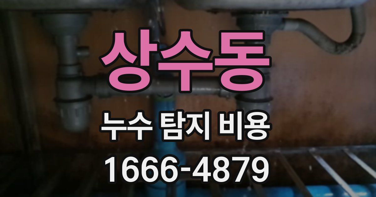 상수동 누수 탐지 비용