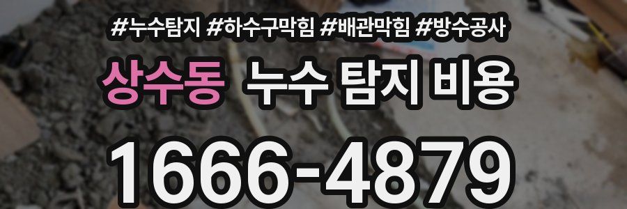 상수동 누수 탐지 비용