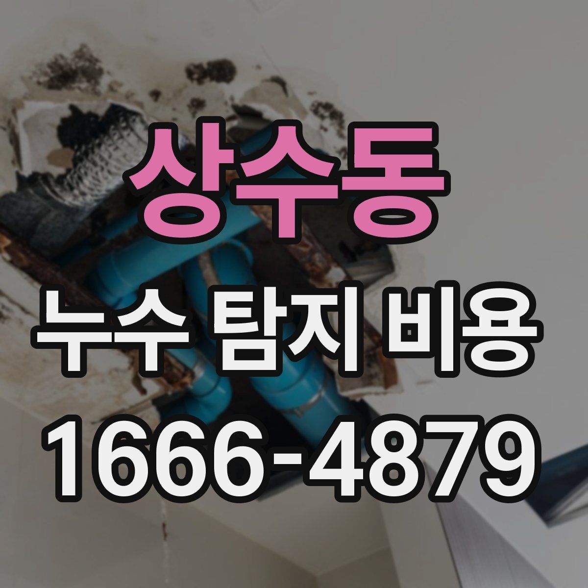 상수동 누수 탐지 비용