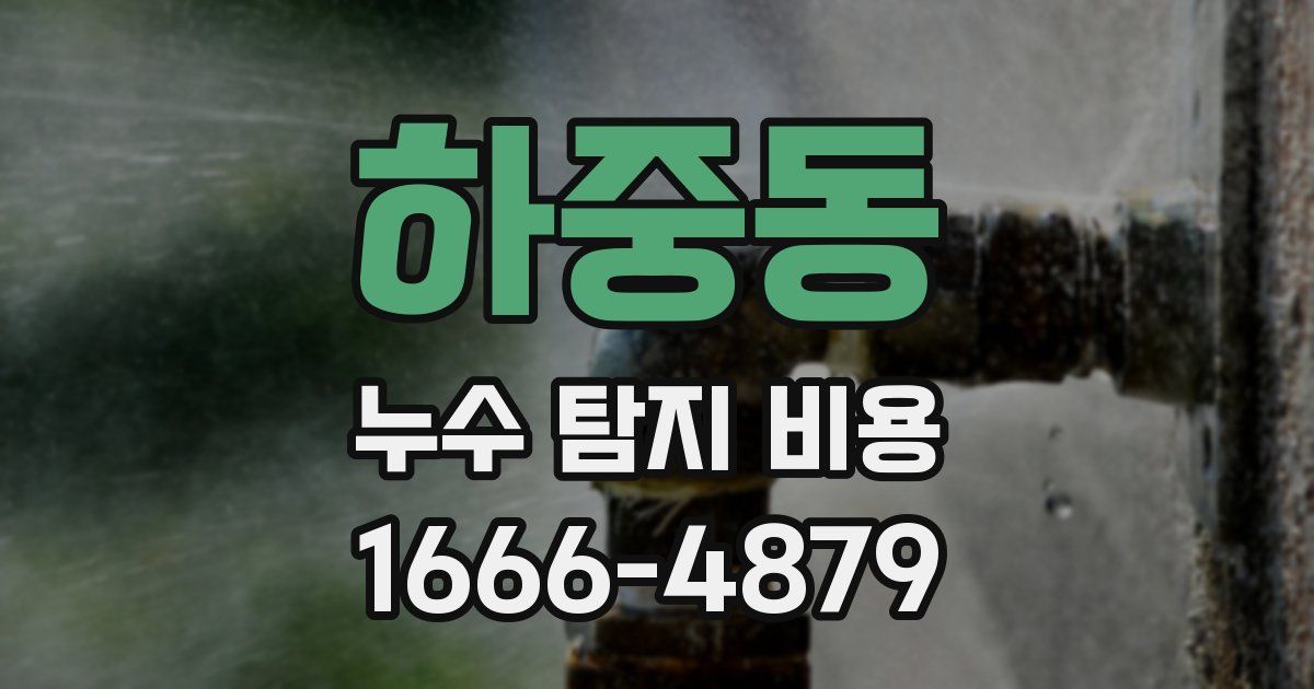 하중동 누수 탐지 비용