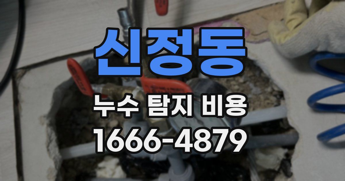 신정동 누수 탐지 비용