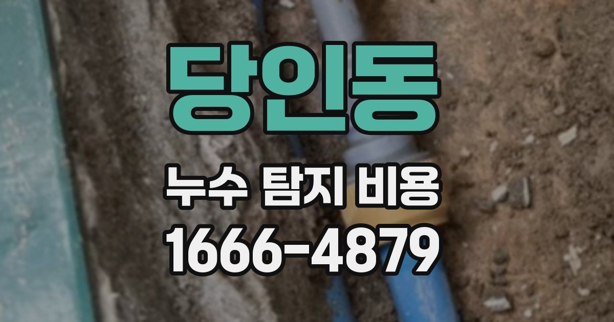 당인동 누수 탐지 비용