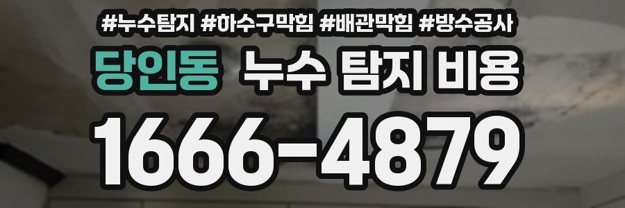 당인동 누수 탐지 비용