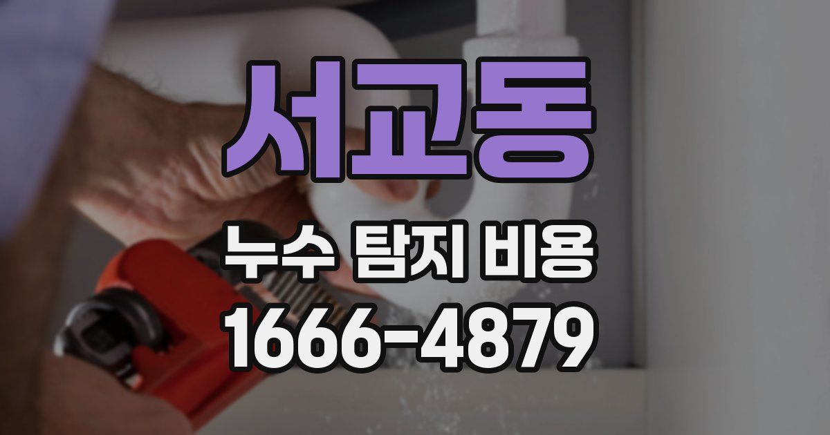 서교동 누수 탐지 비용