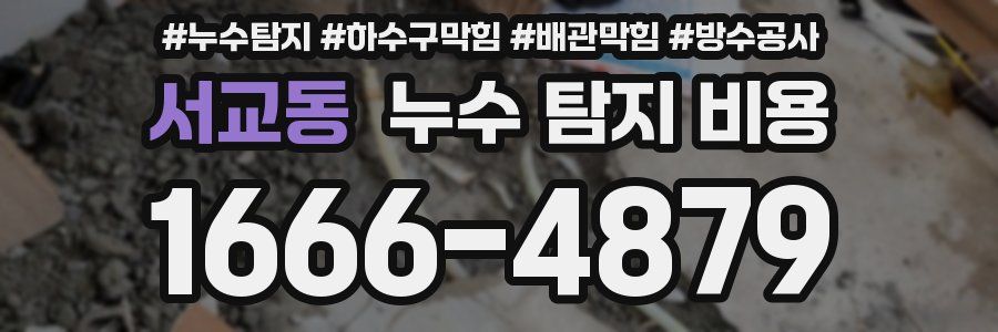 서교동 누수 탐지 비용